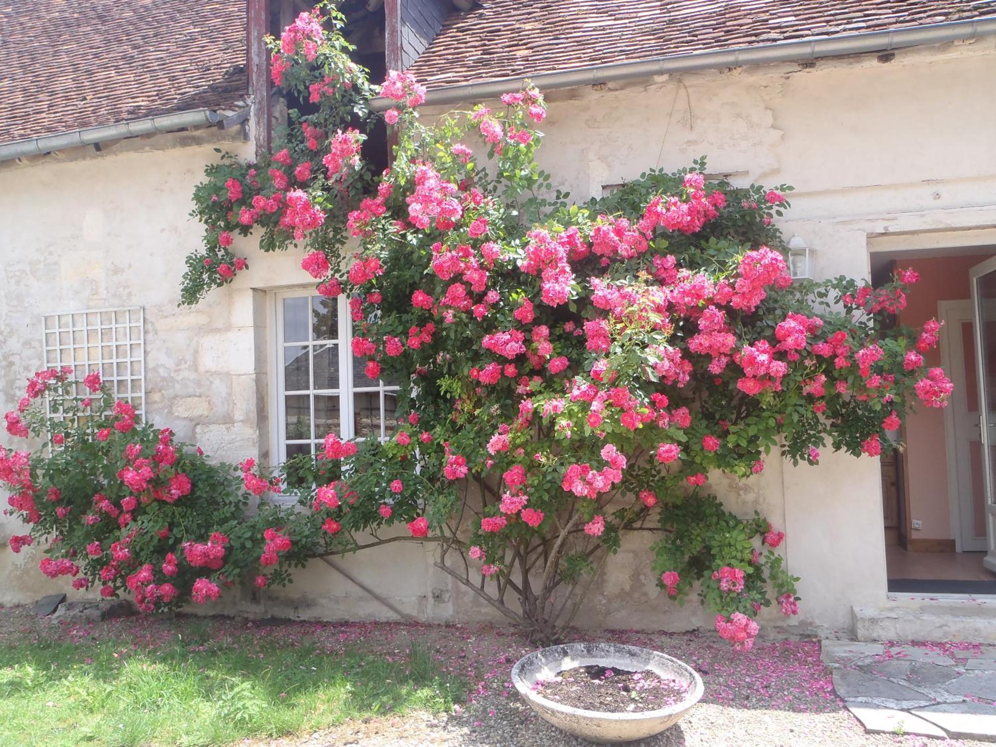 Chambres D'Hotes Du Domaine De Jacquelin Saint-Germain-du-Puy Room photo